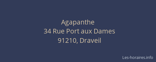 Agapanthe