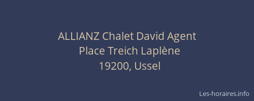ALLIANZ Chalet David Agent