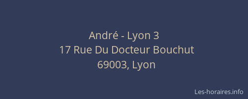 André - Lyon 3