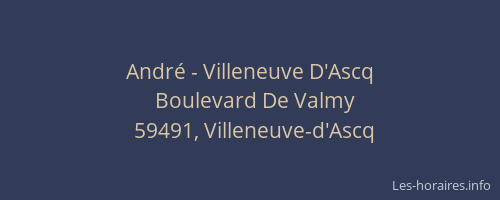 André - Villeneuve D'Ascq