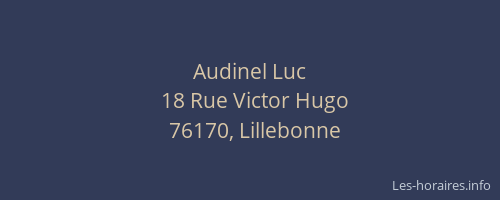 Audinel Luc