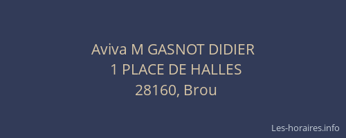 Aviva M GASNOT DIDIER