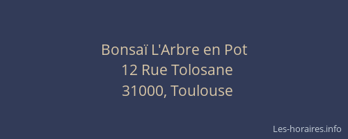 Bonsaï L'Arbre en Pot