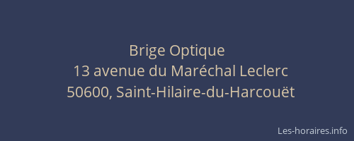 Brige Optique