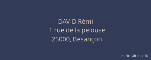 DAVID Rémi