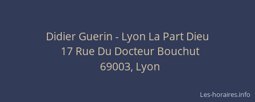 Didier Guerin - Lyon La Part Dieu