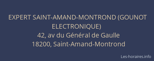 EXPERT SAINT-AMAND-MONTROND (GOUNOT ELECTRONIQUE)