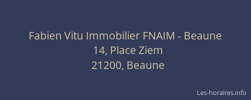 Fabien Vitu Immobilier FNAIM - Beaune
