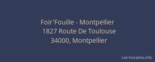 Foir'Fouille - Montpellier