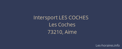 Intersport LES COCHES