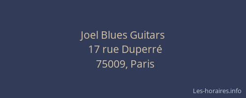 Joel Blues Guitars