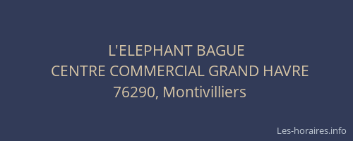 L'ELEPHANT BAGUE