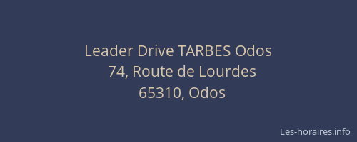 Leader Drive TARBES Odos