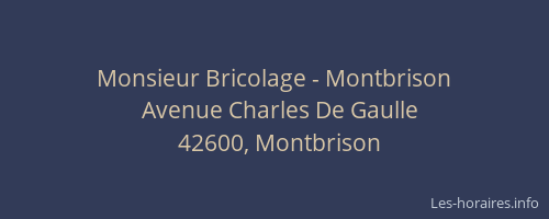 Monsieur Bricolage - Montbrison