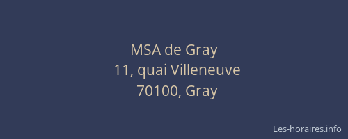 MSA de Gray