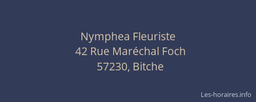 Nymphea Fleuriste