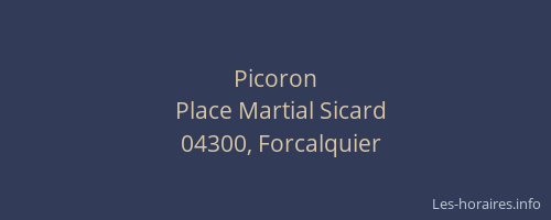 Picoron