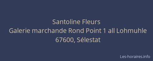 Santoline Fleurs