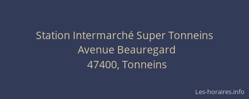 Station Intermarché Super Tonneins