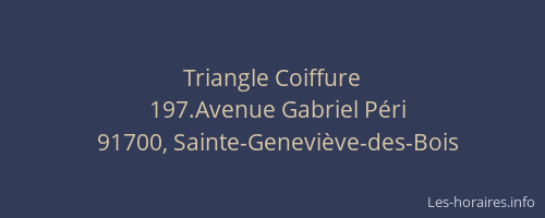 Triangle Coiffure