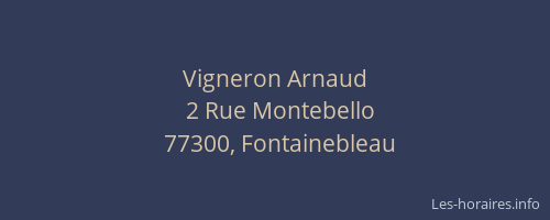 Vigneron Arnaud