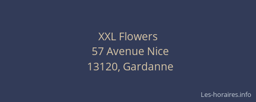 XXL Flowers